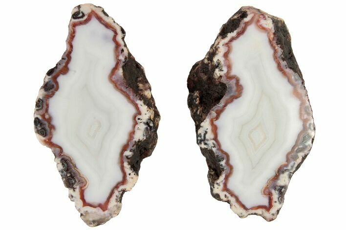 Polished Banded Agate Nodule Pair - Kerrouchen, Morocco #186947